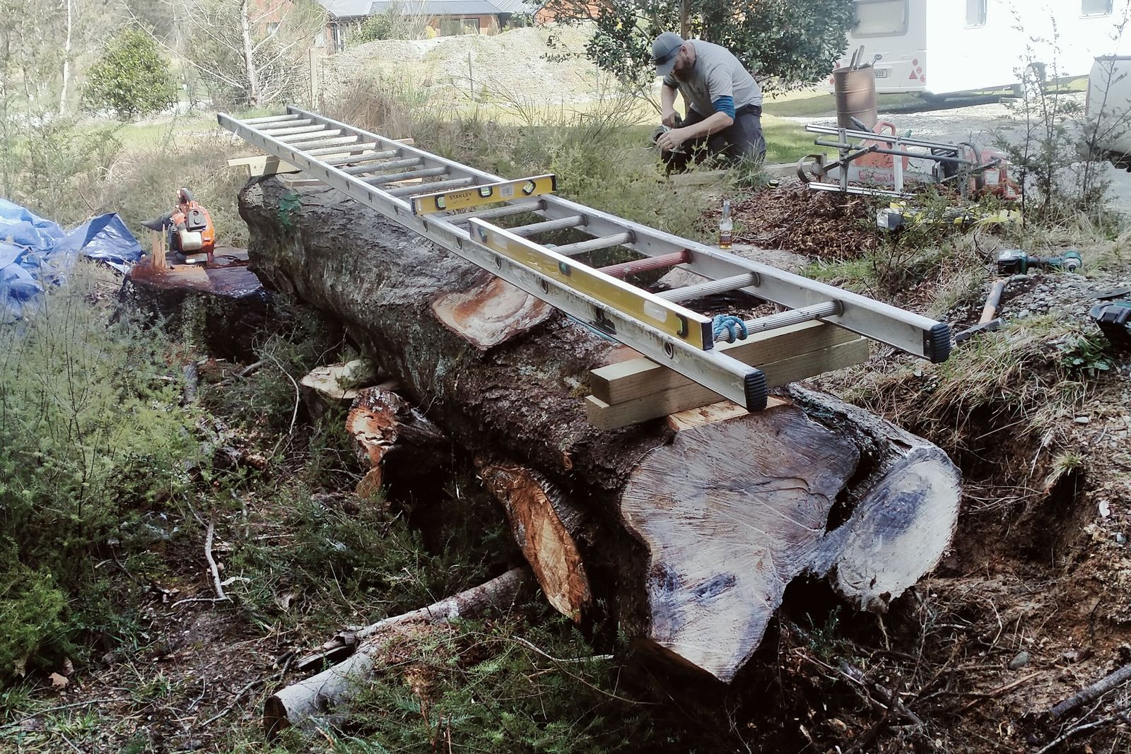 Large trunk set up on the mill rail