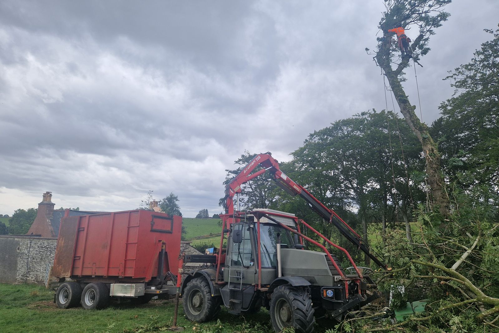 Wind-thrown tree cleared with crane and trailer