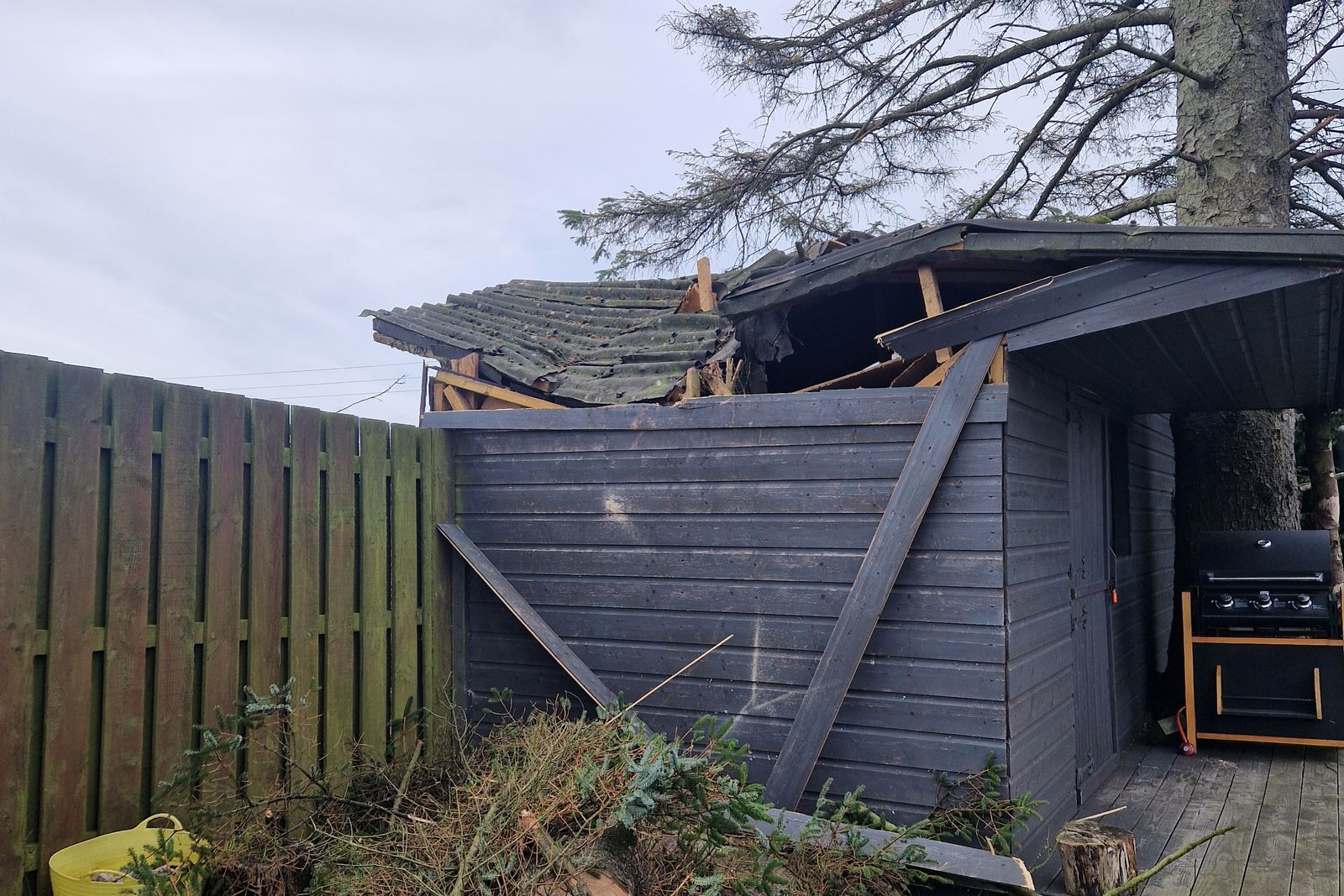 Storm-damaged tree resting against a garden building