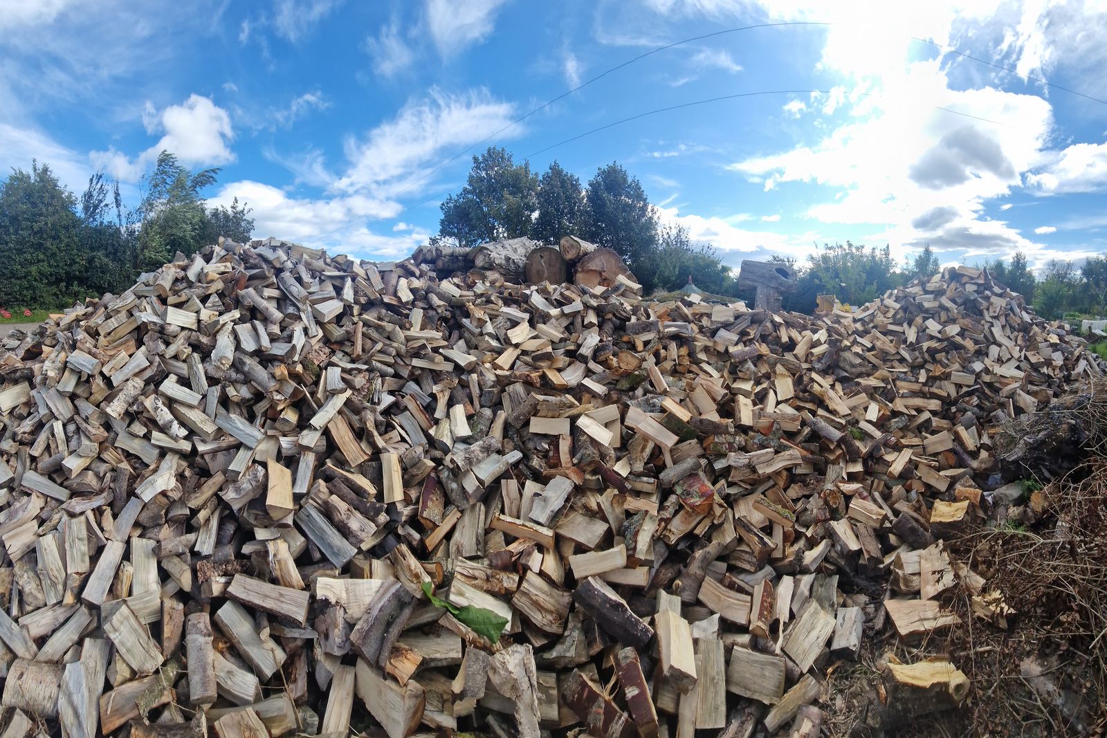 Split hardwood ready for bagging