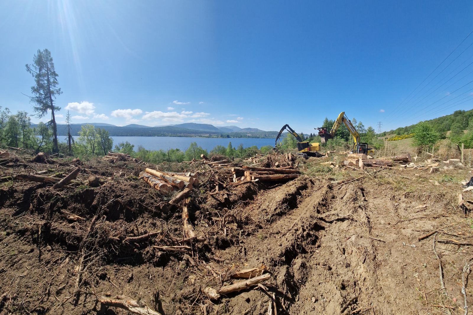 Forestry clearance and extraction beside the firth
