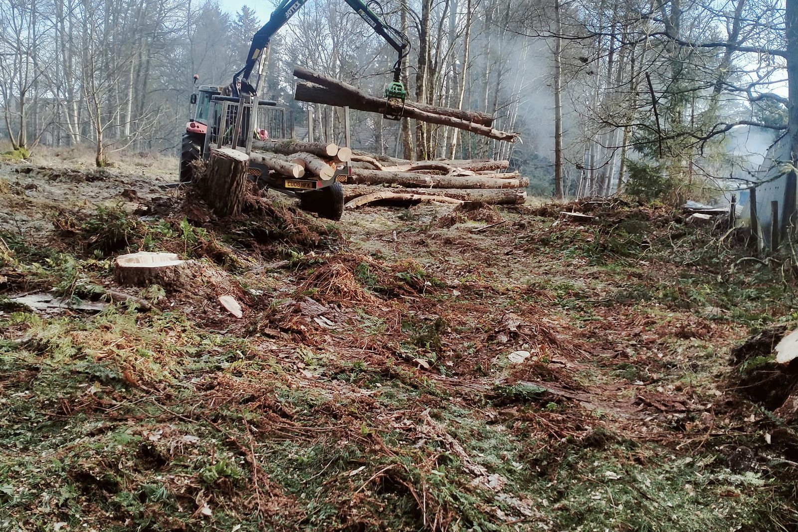 Extraction site with timber stacked for uplift