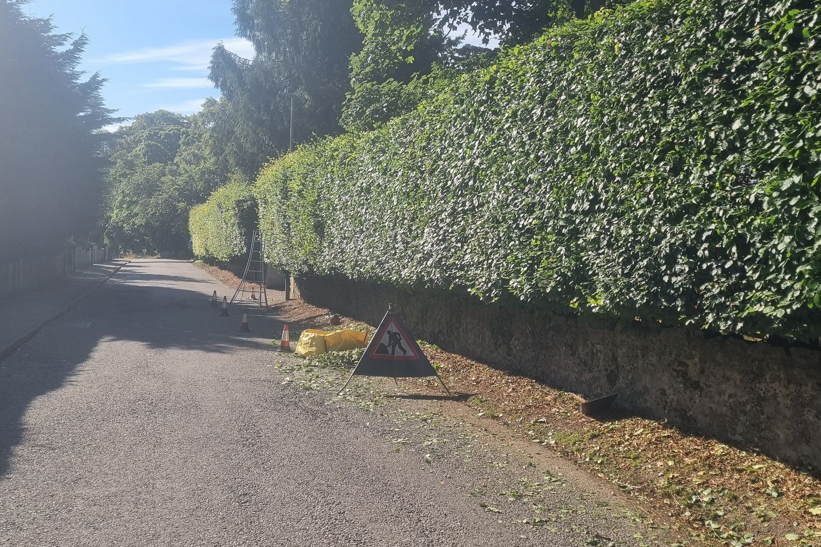 Boundary hedge reduced along a private road
