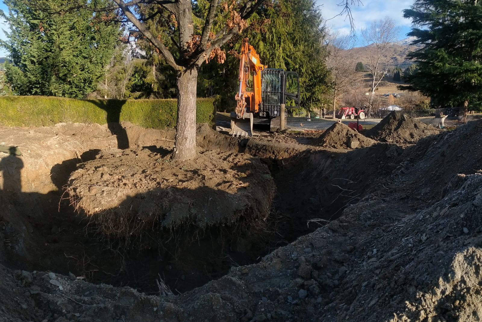 Planting pit dug ready for a transplanted tree