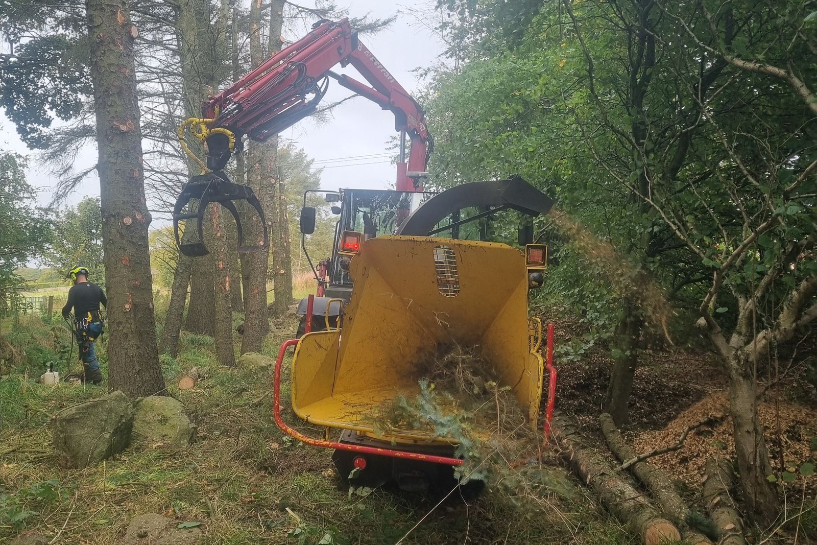 Chipper and crew clearing an overgrown boundary