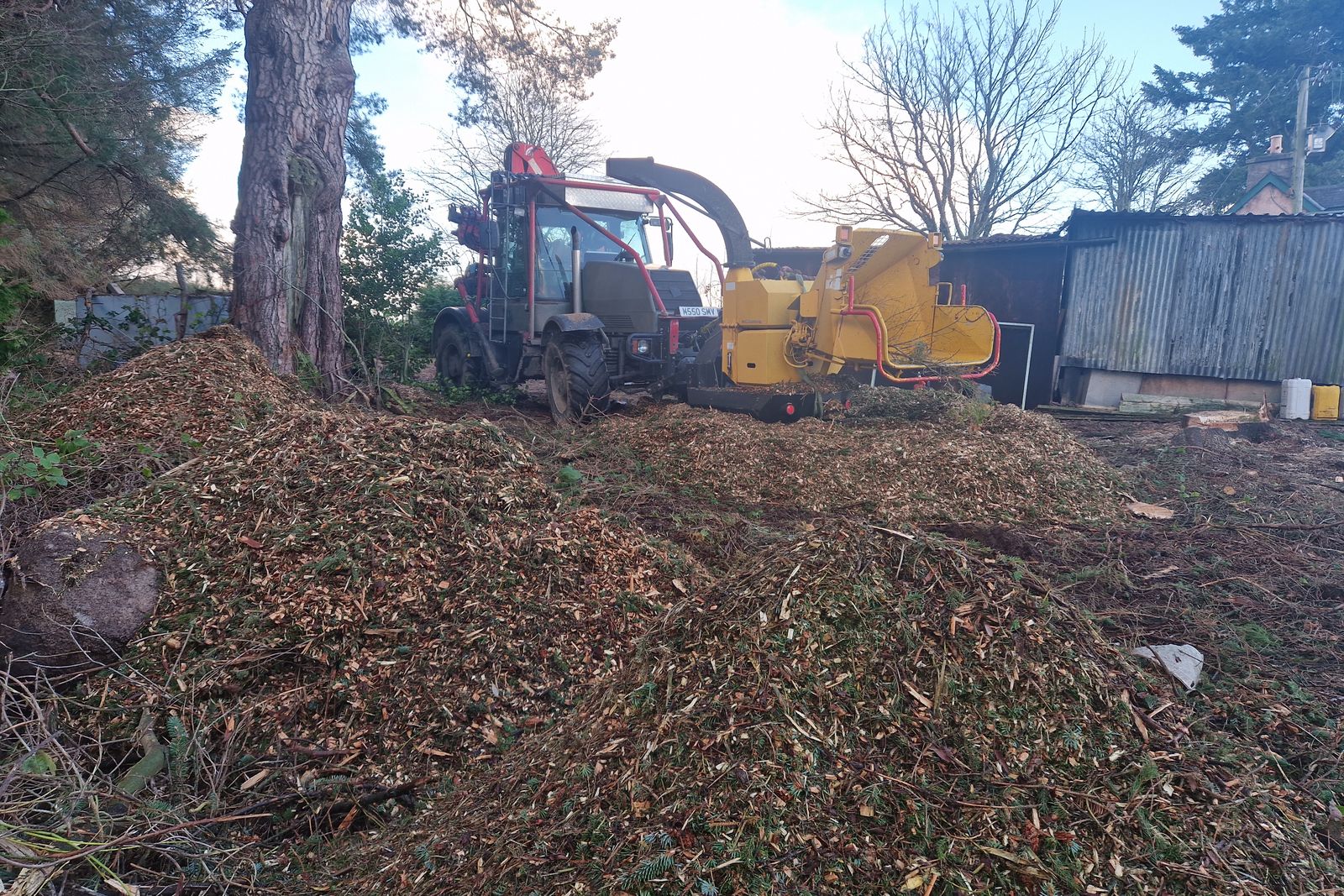 Ground cleared and chipped ready to hand over