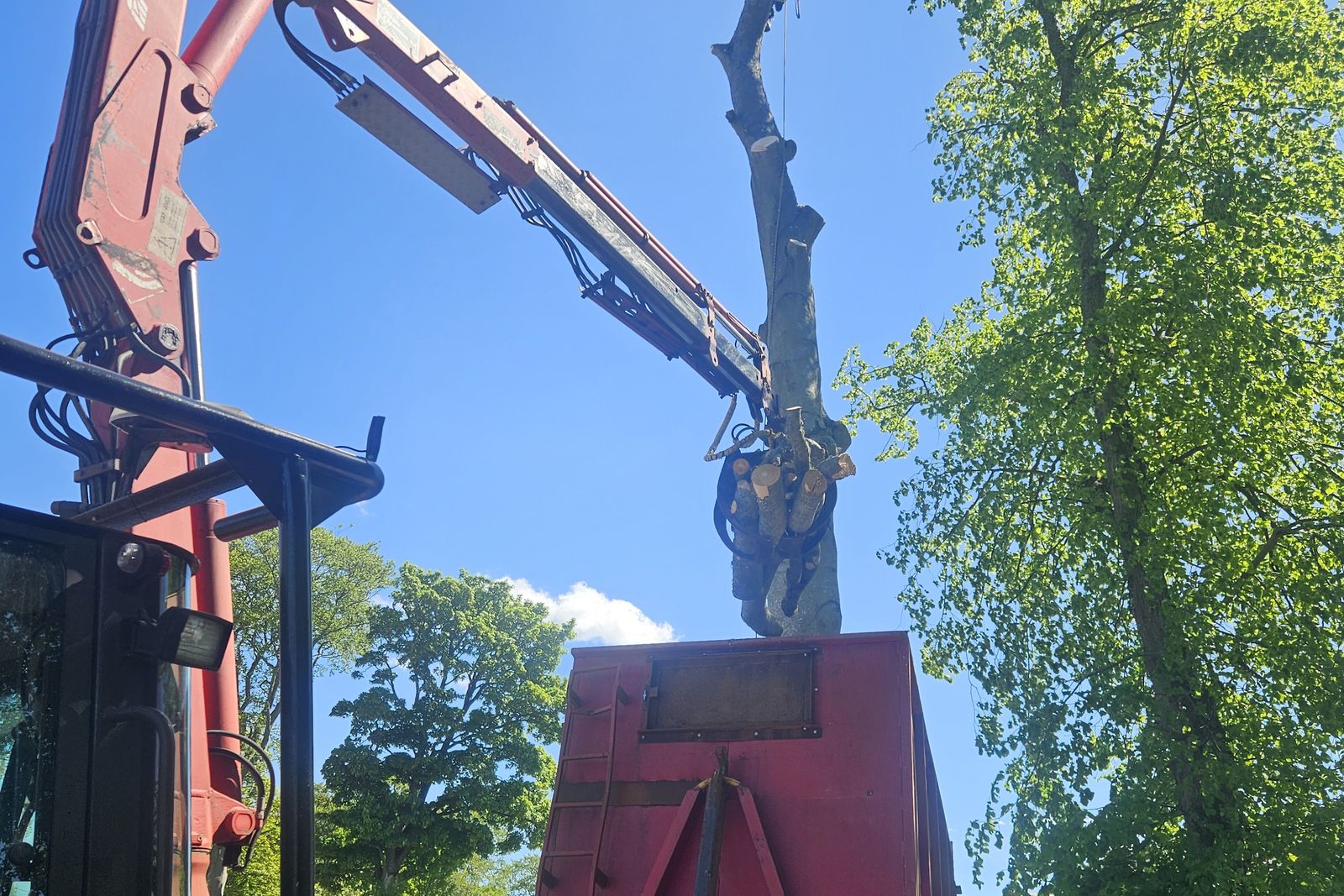 Crane holding a large trunk section clear of the ground